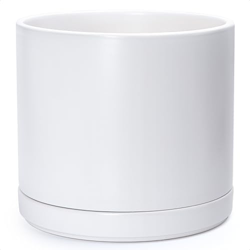 D'vine Dev 14 Inch Ceramic Planter Pot, White, 94-O-G-1 by DvineDevPlanterPotsandStand