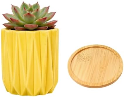 Cuteforyou Modern Textured Ceramic Succulent Planter Pot – 6 Color Options (No Plant Included) – Perfect for Small Plants, Cacti & Desk Decor – Lightweight & Durable (Yellow, 3.5'' Tall) by Cuteforyou