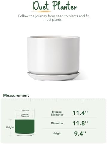 LE TAUCI 12 Inch Pots for Plants, Ceramic Plant Pots with Drainage Holes and Saucers, Elegant and Durable Large Plant Pot, Perfect for Home & Office Decor, White - Image 5