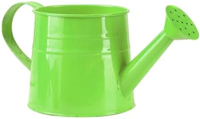 Watering Can Outdoor, 0.25 Gallon Metal Small Capacity Watering Can Indoor Plants with Sprinkler Head,Decorative Lightweight Durable Watering Cans for Garden Lawn Bonsai Greenhouse (Green) by Unknown