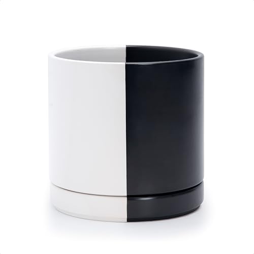 D'vine Dev 8.2 Inch Ceramic Planter Pot, Black White Split, 94-O-D-0 by DvineDevPlanterPotsandStand