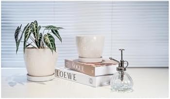 Docrin Ceramic Plant Pots Indoor, 6.6 + 5.5 Inch Planters with Drainage Holes and Saucer for Home/Office - Set of 2 /White - Image 6