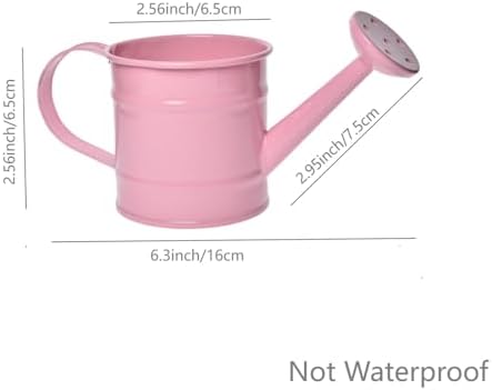 Decorative Mini Tin Watering Can - 0.05Gal Cute Metal Jug for Hand Crafts,Garden-Theme Parties,Plant Pots, Home Decor,Housewarmings, Fun Birthday Gift for Girls and Boys (P/W, S) - Image 2