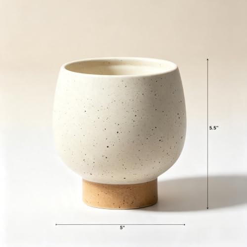 5.5" Cream Speckle Ceramic Indoor Planter with Tan Base, Small Outdoor Pots - Image 2