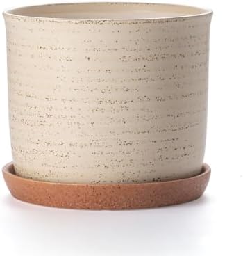 8 Inch Ceramic Plant Pot with Drainage Hole & Separate Saucer by Chubacoo
