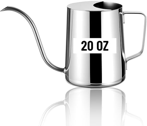 Doseno Indoor Watering Can, Long Spout Watering Can, Stainless Steel, 20 oz by Doseno
