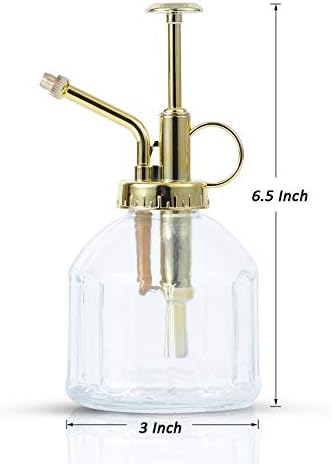 Glass Plant Mister Spray Bottle, Succulent Watering Bottle with Golden Top Pump, Vintage Plant Spritzer, Decorative Water Sprayer Small Watering Can for Indoor Outdoor Houseplant - Clear - Image 2