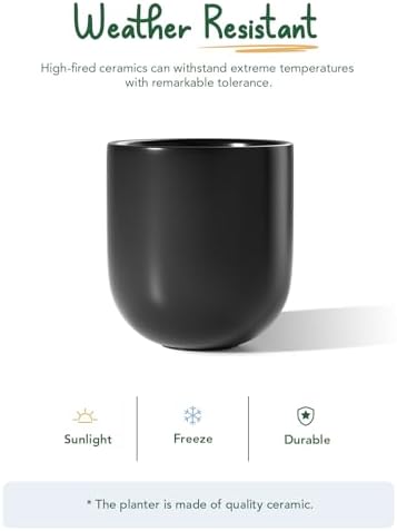 LE TAUCI 10 Inch Plant Pot, Ceramic Pots for Plants, Black - Image 5