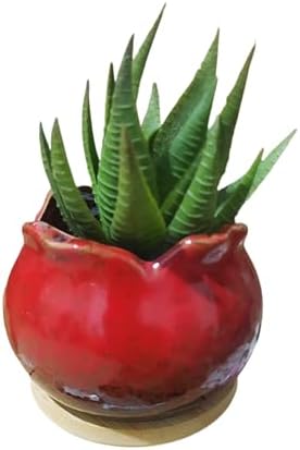 Cute 4" Round Ceramic Home Garden Decoration Succulent Cactus Flower Pots Container -Plant Not Included，Red - Image 3