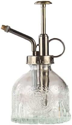 Plant Mister in Glass 200ML, Small Spray Bottle with Plastic Top Pump, Fine Mist Decorative Sprayer Tiny Watering Can Gift for Indoor Outdoor Succulent House Plant (Transparent) by TOMEEX
