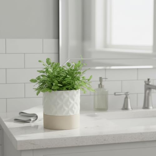 Nihow Self Watering Ceramic Plant Pot, 4.5 Inch, Matte White & Brown Star - Image 6