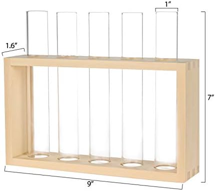 Wooden Propagation Station with 5 Glass Test Tubes, Tabletop Glass Terrarium Holder for Plant Cuttings Hydroponics, Home Office Desk Decor Gift for Women Mom Plant Lovers, Beige - Image 6