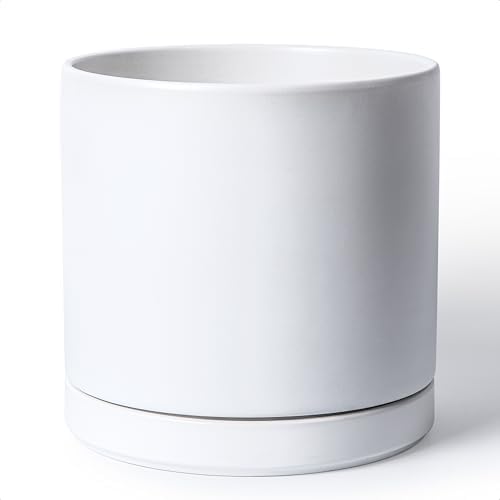 D'vine Dev 12 Inch Ceramic Planter Pot, White, 94-O-F-1 by DvineDevPlanterPotsandStand