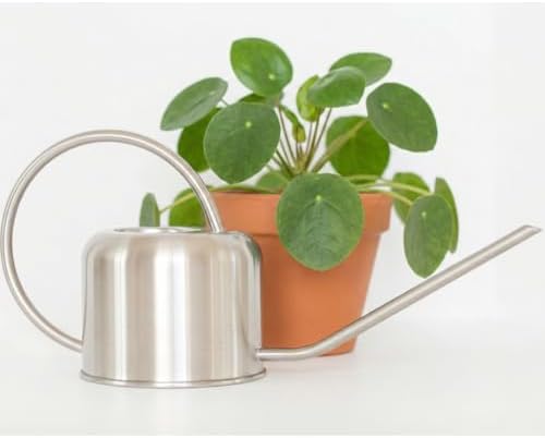 Stainless Steel Houseplant Watering Can, Brushed Silver, 1L Capacity by HouseplantResourceCenter
