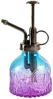 Spray Bottle for Plants, Plant Mister Spray Bottle, Glass Plant Mister Spray Bottle, Embossed Vintage Glass Watering Can, Succulent Watering Bottle with Top Pump for Outdoor (X) by Unknown