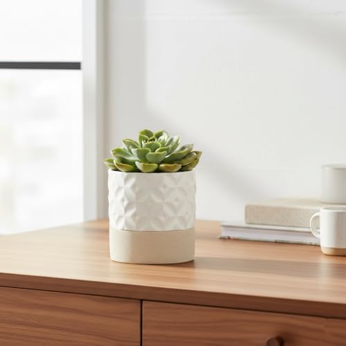 Nihow Self Watering Ceramic Plant Pot, 4.5 Inch, Matte White & Brown Star - Image 4