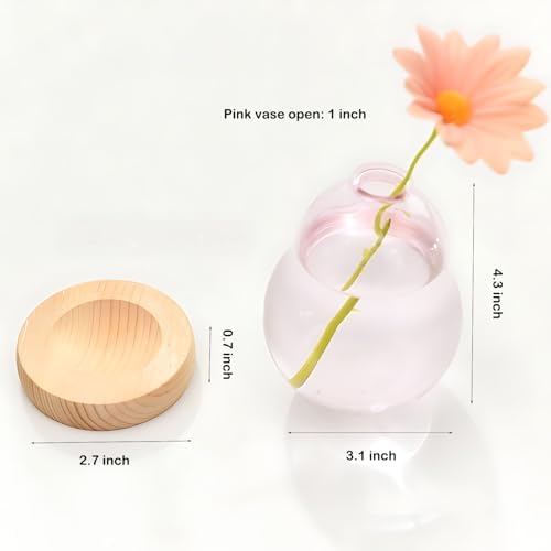 Pink Plant Propagation Cute Bubble Flower Vase Glass Planter Terrarium Jar - Image 3