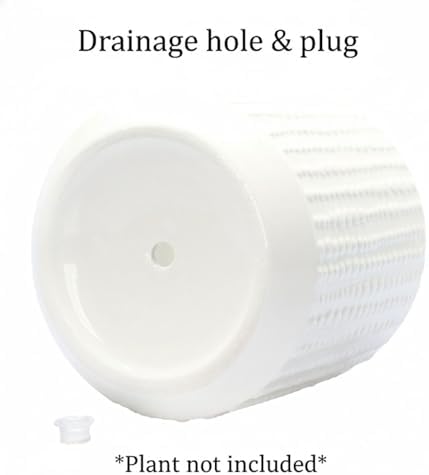 Ceramic Planter Pot with Drainage Hole, 5 Inch Dia, Indoor and Outdoor, Home Patio Garden, Plants&Flowers, Textured Round (White) - Image 6