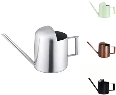 Mini Watering Can, 10oz/300ml Stainless Steel Long Spout Small Watering Can for Indoor Plants Succulents, Herbs (Silver) by Unknown