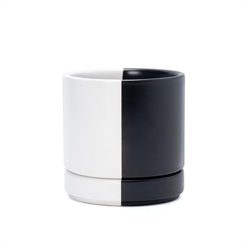 D'vine Dev 4.7 Inch Ceramic Planter Pot, Black White Split, 94-O-B-0 by DvineDevPlanterPotsandStand