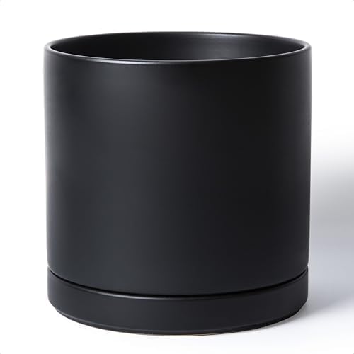 D'vine Dev 12 Inch Ceramic Planter Pot, Black, 94-O-F-2 by DvineDevPlanterPotsandStand
