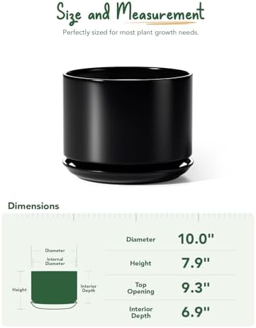 LE TAUCI Ceramic Pots for Plants, 10 Inch Plant Pot with Drainage Hole & Saucer, Sturdy & Modern Planters for Indoor Plants, Includes Mesh Screen, Fits Snake Plant & Monstera, Black - Image 5