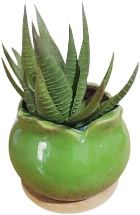 Cute 4" Round Ceramic Home Garden Decoration Succulent Cactus Flower Pots Container -Plant Not Included，Green - Image 2