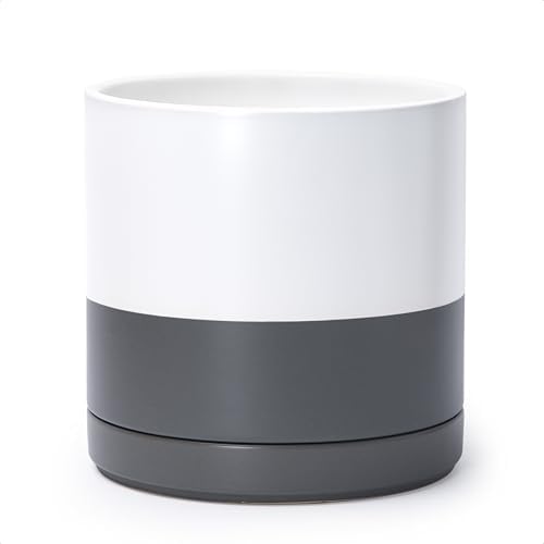 D'vine Dev 10 Inch Ceramic Planter Pot, White/Grey, 94-O-E-6 by DvineDevPlanterPotsandStand