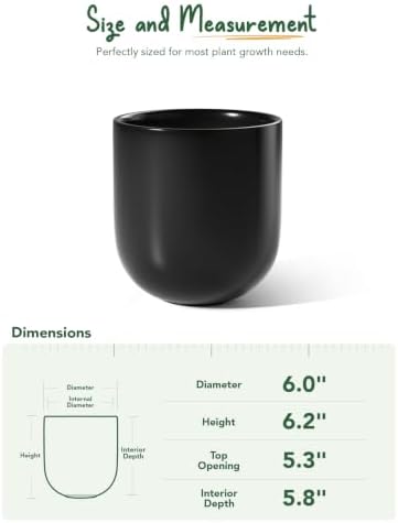 LE TAUCI 6 Inch Ceramic Plant Pot, Small Indoor Planter, Black - Image 4