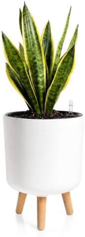 Bamworld Self Watering Pots for Indoor Plants with Water Level Indicator by Bamworld