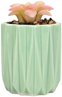 Succulent Plant Pots Ceramic Plant Pots and Drainage Hole Bonsai Planter Small Flower Pots for Indoor Outdoor Use for Home Office Garden Decoration,Plants Not Included (Green) by SUSOYAOCHEN