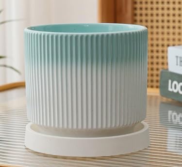 Cuteforyou 3.75 Inch Modern Textured Ceramic Succulent Planter Pot (No Plant Included) – Perfect for Small Plants, Cacti & Desk Decor – Lightweight & Durable，Green - Image 2