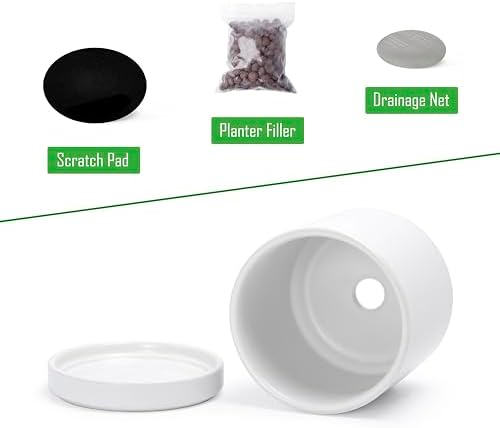 D'vine Dev 3.5 Inch Ceramic Planter Pot, White, 94-O-A-1 - Image 3