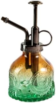 Spray Bottle for Plants, Plant Mister Spray Bottle, Glass Plant Mister Spray Bottle, Embossed Vintage Glass Watering Can, Succulent Watering Bottle with Top Pump for Outdoor (Y) by Unknown