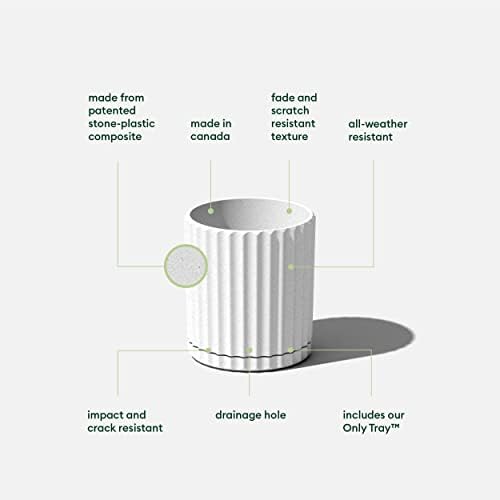 Veradek Demi Series Demi 6" Planter w/Tray - White, 2 Pack - Image 2