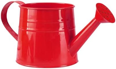 Galvanized Iron Watering Can, Tinplate Watering Kettle Small Flower Pot Plant Flower Pot, Durable Metal Flower Pot, Ideal for Gardening and Home Decor (G) - Image 3