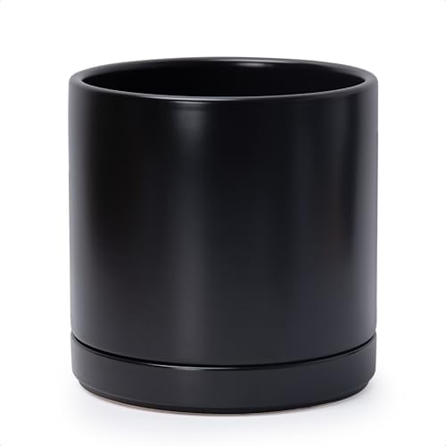 D'vine Dev 10 Inch Ceramic Planter Pot, Black, 94-O-E-2 by DvineDevPlanterPotsandStand