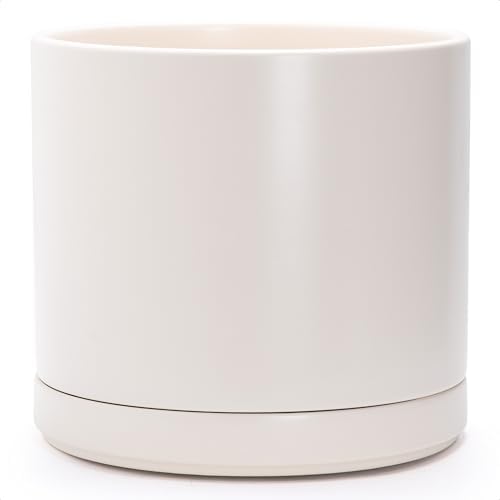 D'vine Dev 14 Inch Ceramic Planter Pot, Oatmeal, 94-O-G-8 by DvineDevPlanterPotsandStand