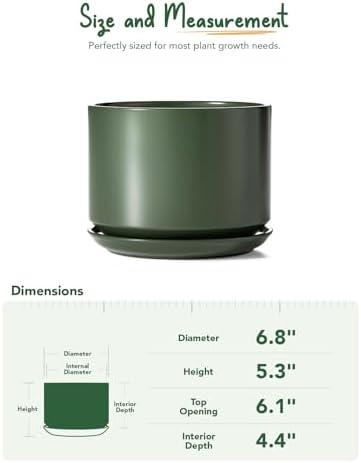 LE TAUCI Ceramic Pots for Plants, 6.8 Inch Plant Pots with Drainage Hole & Saucer, Modern Planter for Indoor Plants, Stable & Durable, Perfect for Living Room or Office Decor, Forest Green - Image 4