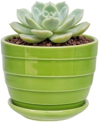 Cute 4.13 Inch Ceramic Home Garden Decoration Succulent Cactus Flower Pots Container -Plant Not Included，Green by SJBAG