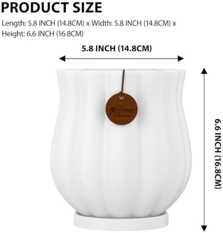 5.8" Matte White Ceramic Plant Pot with Saucer - Image 2