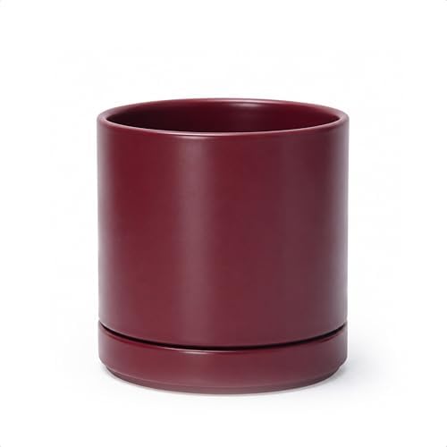 D'vine Dev 6.5 Inch Ceramic Planter Pot, Cordovan, 94-O-C-4 by DvineDevPlanterPotsandStand