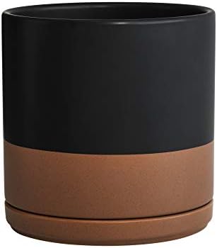 D'vine Dev 8 Inch Ceramic Planter Pot, Black/Tan, 94-O-D-7 by DvineDevPlanterPotsandStand