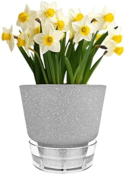 Plant Pots - 6" Orchid Pot, 5 Pack Orchid Pots with Holes - Self Watering Pots for Indoor Plants - Plant Pots with Drainage Hole and Tray Saucer (Frosted Gray) - Image 3