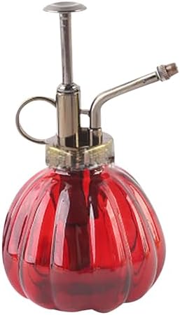 Spray Bottle for Plants, Plant Mister Spray Bottle, Glass Plant Mister Spray Bottle, Embossed Vintage Glass Watering Can, Succulent Watering Bottle with Top Pump for Outdoor (FF) by Unknown