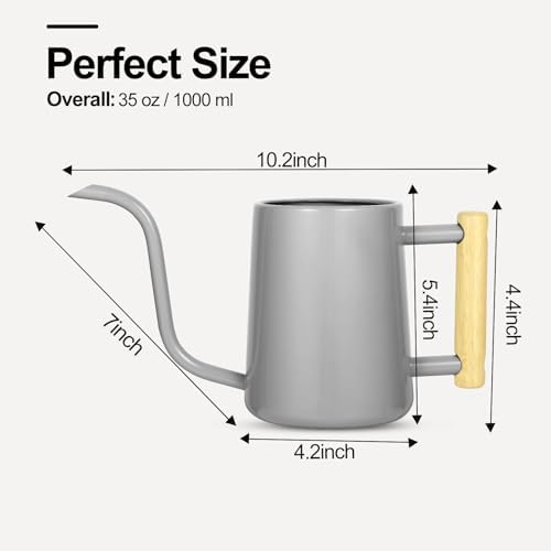 Watering Can Indoor Plants, 35 oz/1000 ml Metal Stainless Steel Watering Can Pot with Long Spout for Indoor House Plants Bonsai Outdoor Garden Flower Decorative (Gray) - Image 6