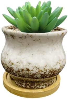 Cute 3.94 Inch Ceramic Home Garden Decoration Succulent Cactus Flower Pots Container -Plant Not Included，White by SJBAG