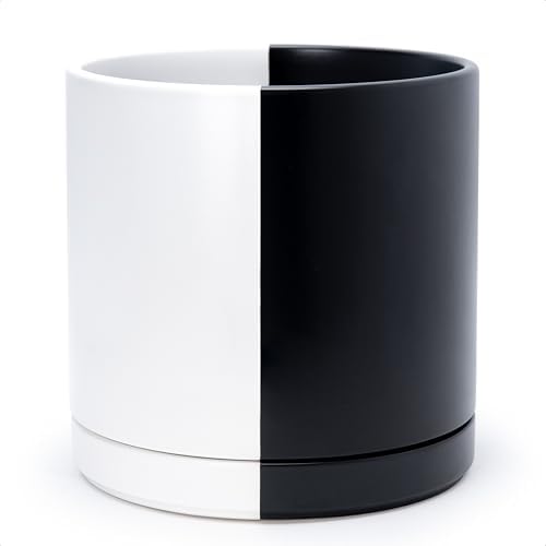 D'vine Dev 12 Inch Ceramic Planter Pot, Black White Split, 94-O-F-0 by DvineDevPlanterPotsandStand
