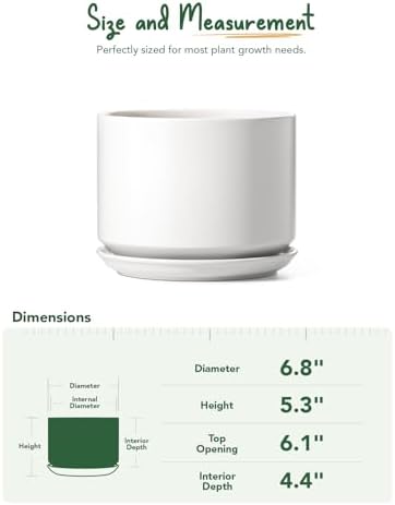 LE TAUCI Ceramic Pots for Plants, 6.8 Inch Plant Pots with Drainage Hole & Saucer, Modern Planter for Indoor Plants, Stable & Durable, Perfect for Living Room or Office Decor, White - Image 4
