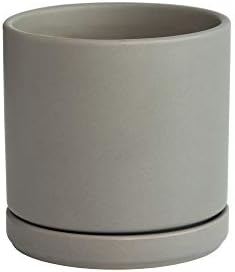 D'vine Dev 6 Inch Ceramic Planter Pot, Grey, 94-O-C-3 by DvineDevPlanterPotsandStand